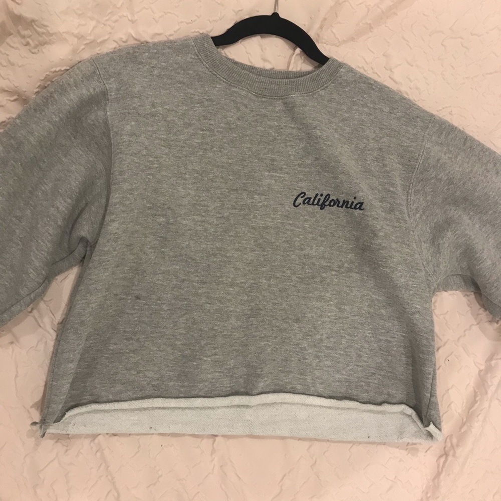 NEVER WORN John Galt Cropped Sweatshirt